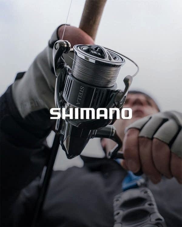 <i>Infinity Evolution</i><b>Şimdi Keşfet</b>