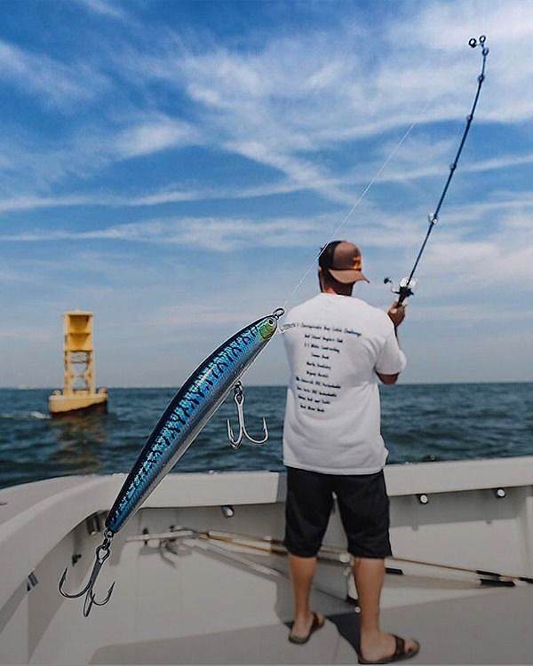 <i>Suni Balık Yemleri</i><b>Şimdi Keşfet</b>