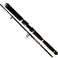 RYOBI SAFARI 2 PARÇALI JIG KAMIŞI