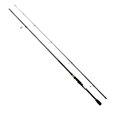 DAIWA RS 2,44M, 10-35GR, 2P KAMIŞ