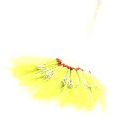 Abari S06 Horoz Tüyü Çinekop Çapari Kösteği  100ad