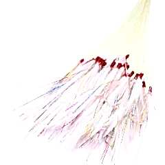 Abari SP11 Palamut kösteği, 50 Adet Mustad iğneli